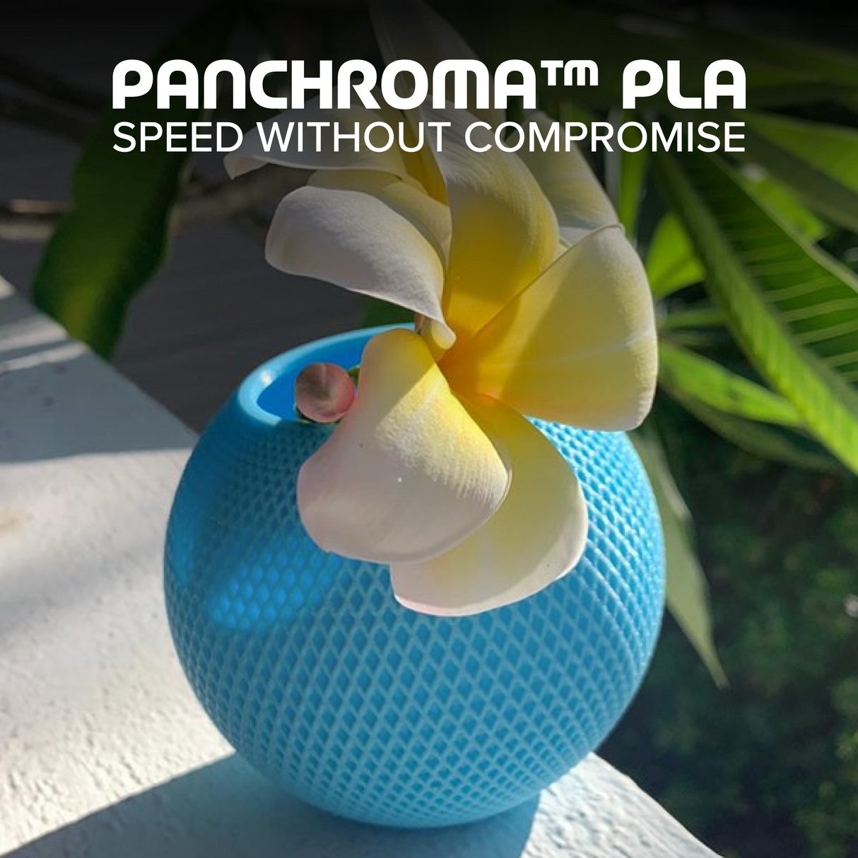Panchroma™ PLA Basic